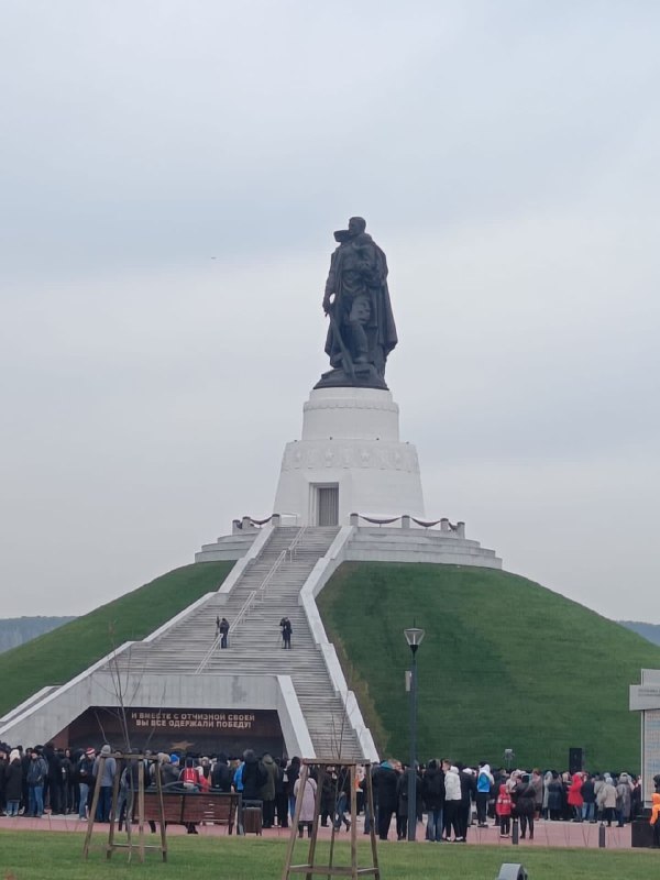 55972721.jpg