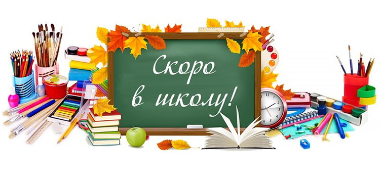 12691018.jpg