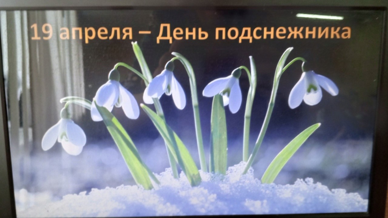 B_QfCY5JAOHD1F2IrmDAqJhNmejfaXHGqTU7NpGr_Fo-aDaye_PKMMkqiPmDyYW8yi3JpQf3-IyEUtkJwIVS50qE.jpg